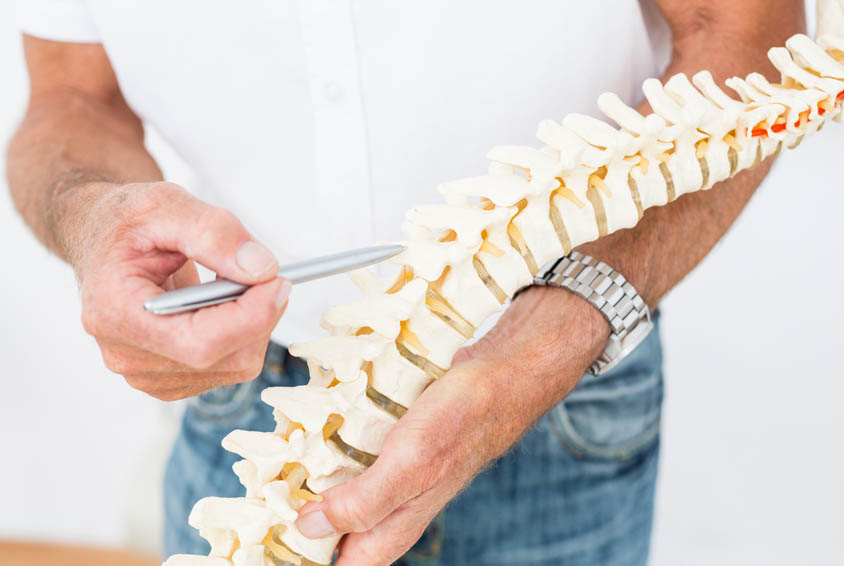 Orthopedic Surgery - Spine/Bone