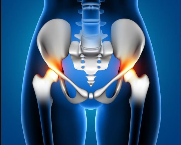 Orthopedic Surgery - Hip & Knee